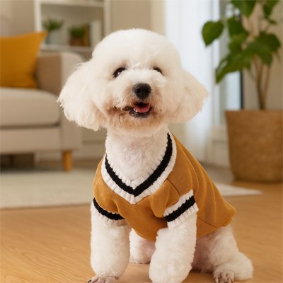pull pour chien hiver automne jaune-chaud mode