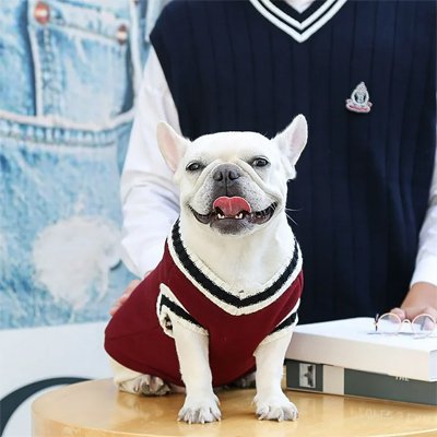 pull pour chien hiver automne printemps  rouge chaud mode
