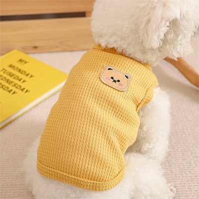 Pull pour Chien jaunes