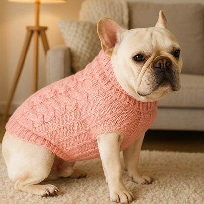 pull pour chien manteau hiver printemps autonme rose chaud promenade