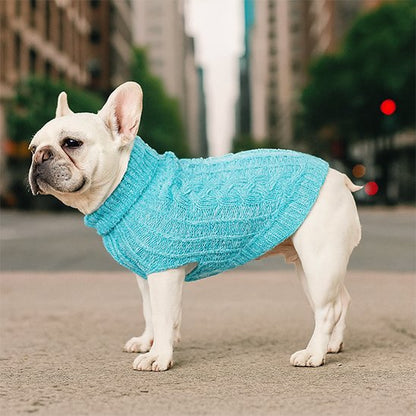 pull pour chien sortie hiver printemps automne bleue chaud promenade