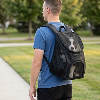 sac a dos chien couleur noir homme ballade dans parc