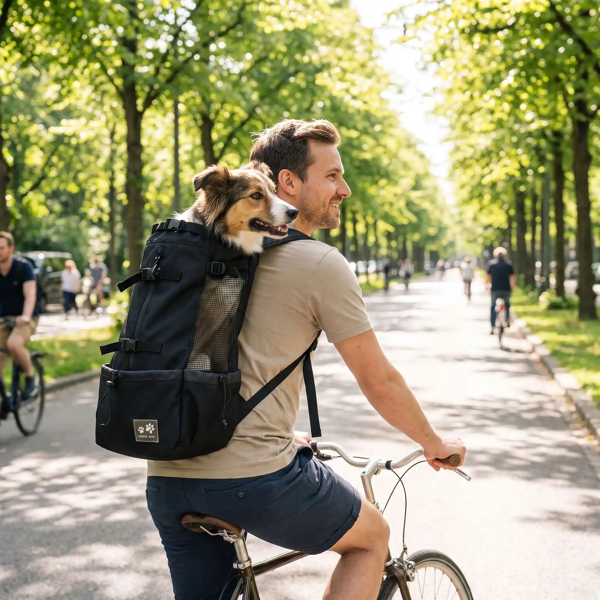 sac a dos chien gris foncer velo parc homme
