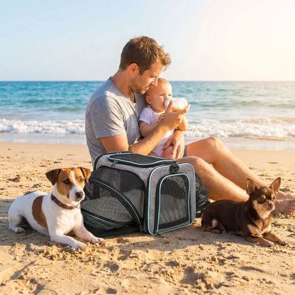 sac de transport pour chien couleur bleu papa bebe