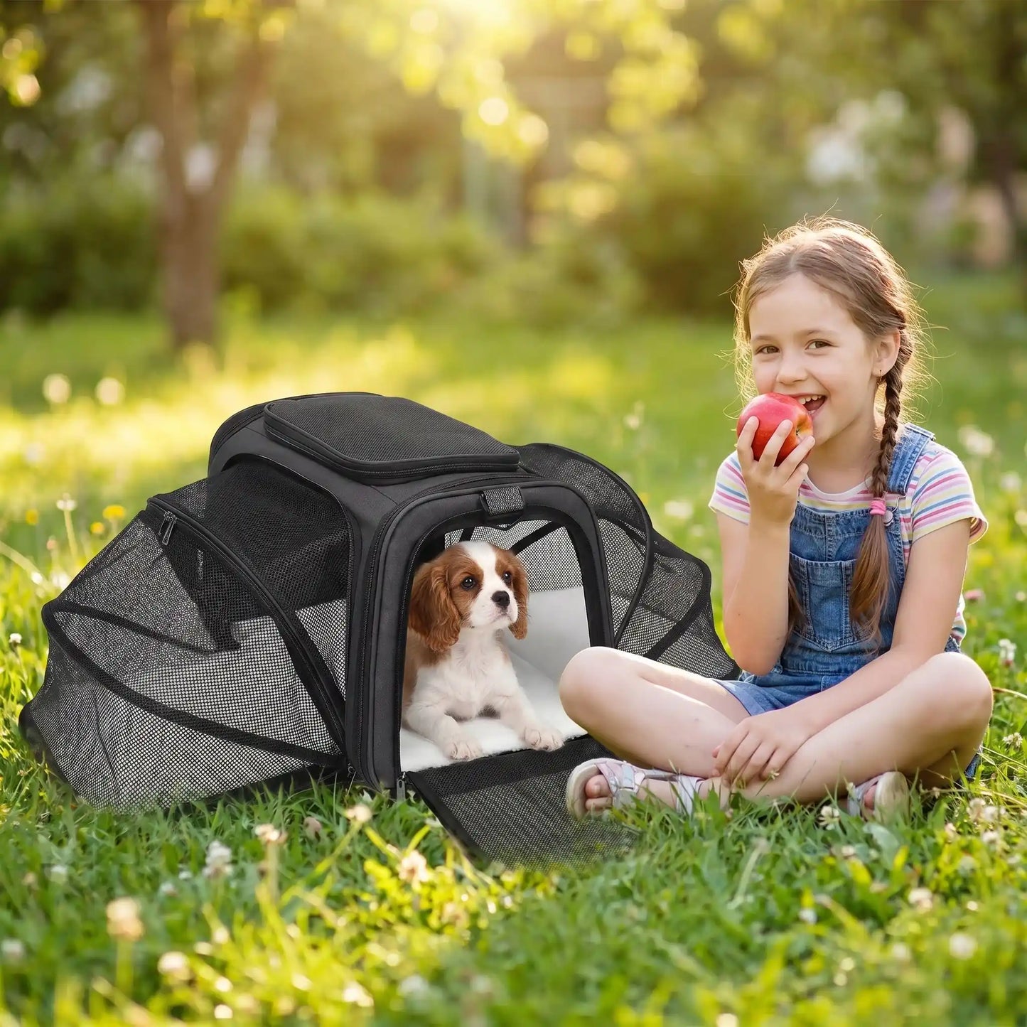 sac de transport pour chien couleur noir petite fille