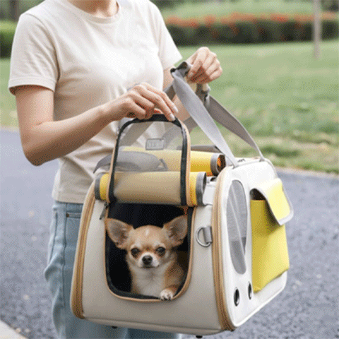 sac de transport pour chien couleur vert jaune promenade femme