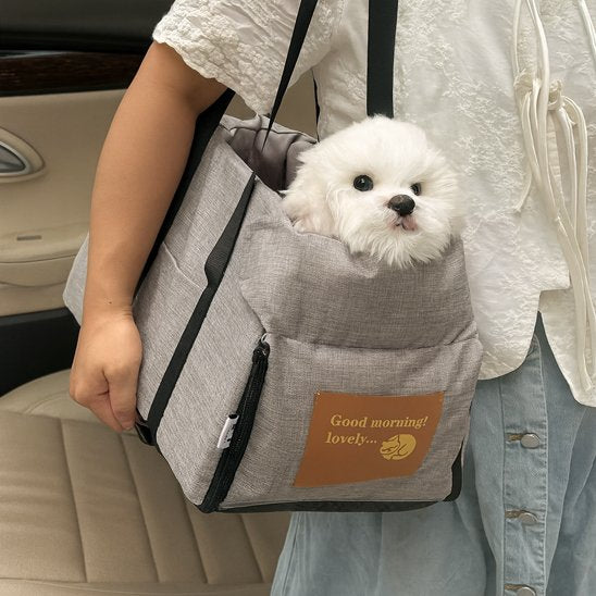 sac-de-transport-pour-chien-gris-auto-exterieur